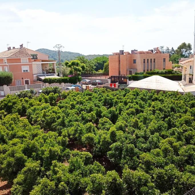 Piso Sierra Calderona A 15 Minutos Del Mar Estivella Apartment Exterior foto